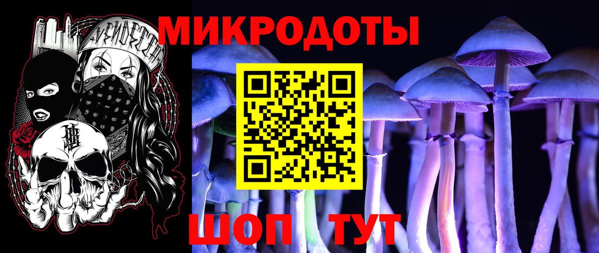 Псилоцибиновые грибы GOLDEN TEACHER Хасавюрт
