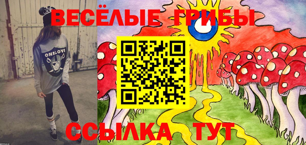 купить наркотик  Псилоцибиновые грибы прущие грибы  Хасавюрт  Вход с VPN  Псилоцибиновые грибы мицелий 